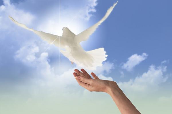 The Mind Body Connection