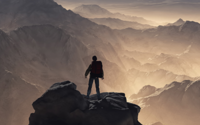 Let Wisdom Be Your Guide